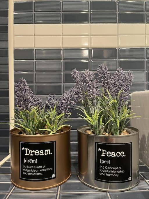 Ideal Apartamento En Sanvi 산비센테데라바케라 외부 사진